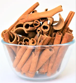 Cassia Split Big (Darchini)