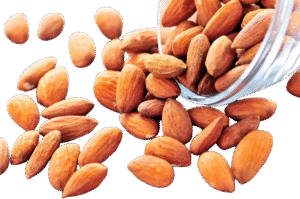Fresh Almond
