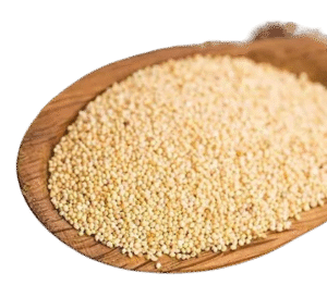 Poppy Seed (Posto)