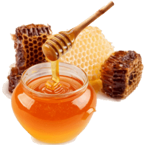 Sunderban’s Pure Forest Honey
