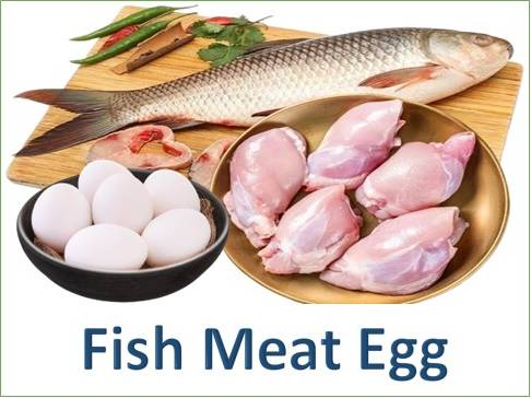 Fish Meat & Egg